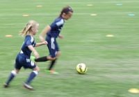 the Electric Fence game